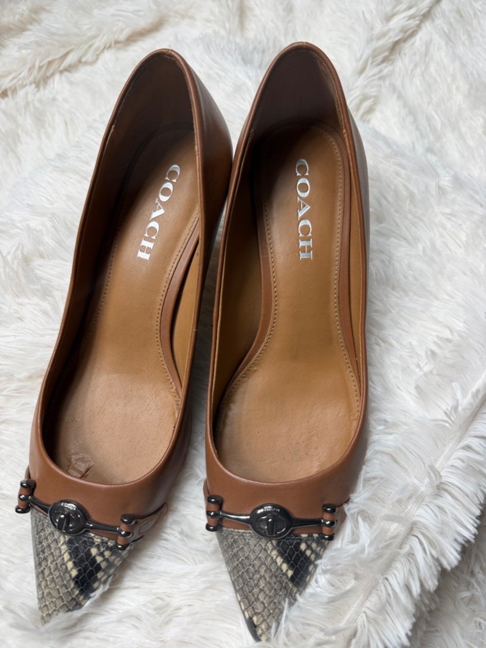 COACH Brown Leather Pointed-Toe Heels with Snakeskin Toe Caps